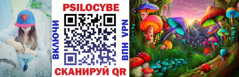 где можно купить наркотик  Семикаракорск  Псилоцибиновые грибы GOLDEN TEACHER 